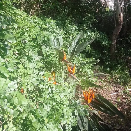 I Giardini Di Ailobran * Narbolia