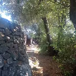 I Giardini Di Ailobran Narbolia