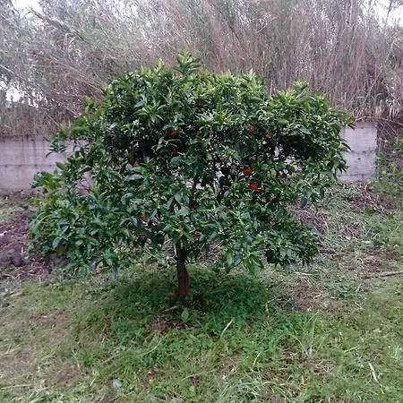 I Giardini Di Ailobran بيت للعطل