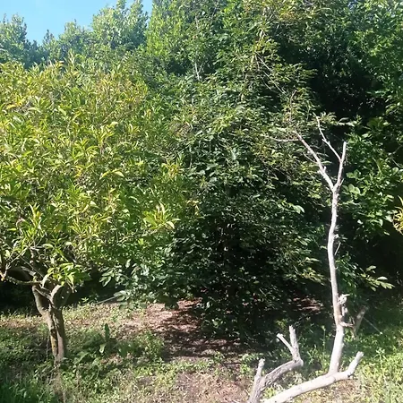 I Giardini Di Ailobran *