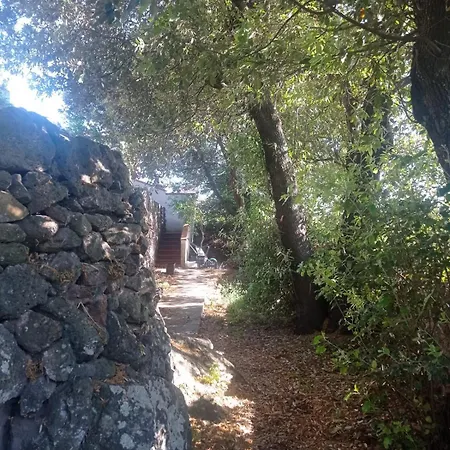 I Giardini Di Ailobran Narbolia